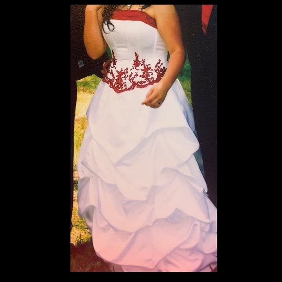 David’s Bridal Wedding Dress (2011) - Picture 7 of 7